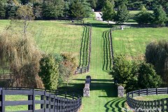 2009-10-03_07-Ashford-Stud-with-Signature